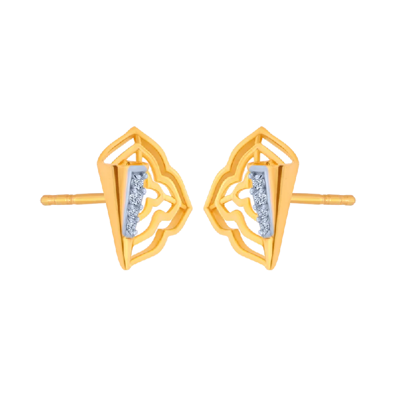 Artistic Earrings for Women-14KT (585) Yellow Gold Earrings For Women